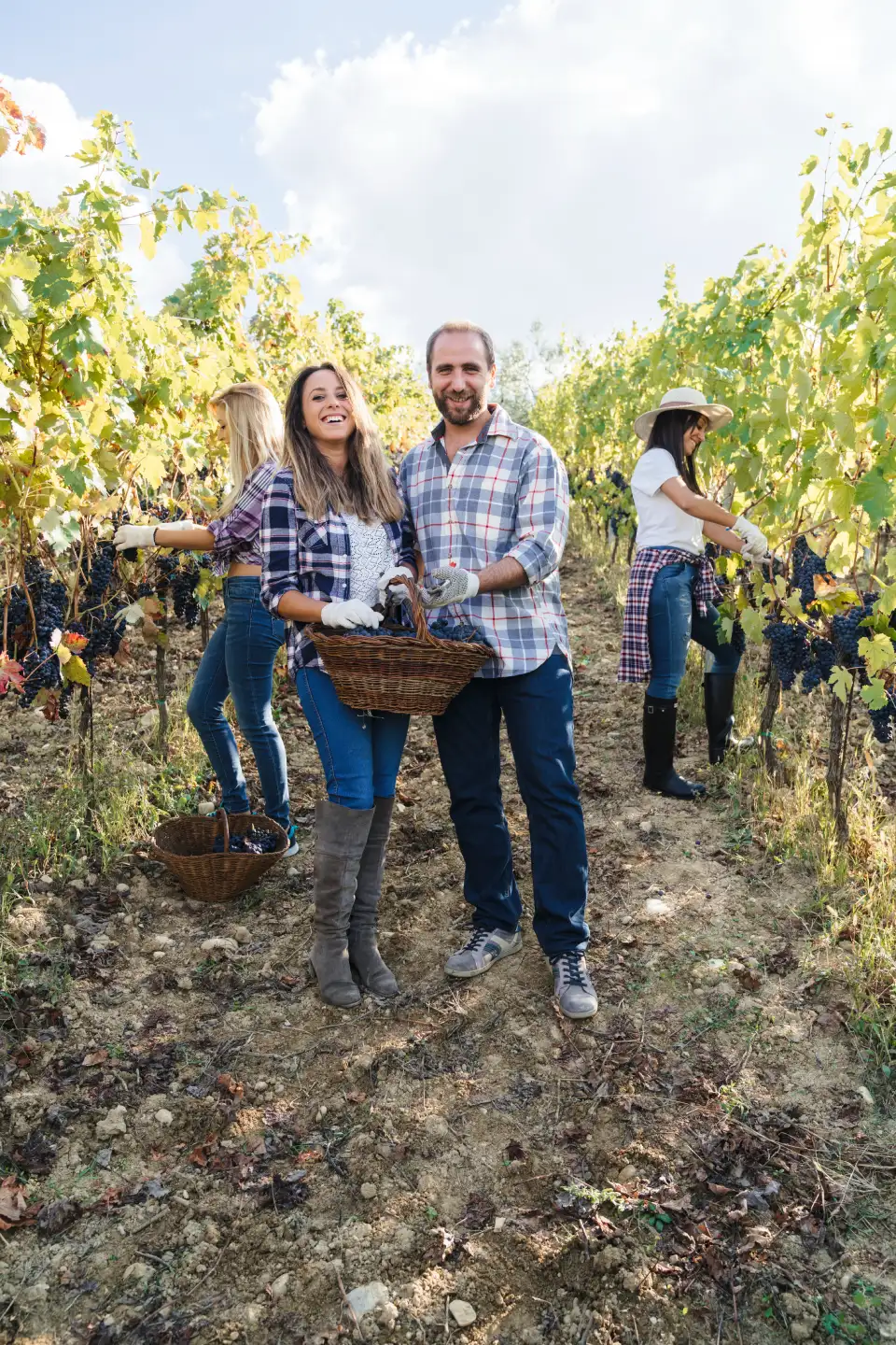boston wine tours