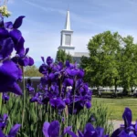 Reliable Transportation from Logan Airport to Stoneham