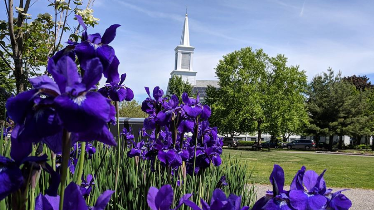Reliable Transportation from Logan Airport to Stoneham